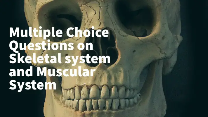 Feature Image of Multiple-Choice Questions on Skeletal system and Muscular System