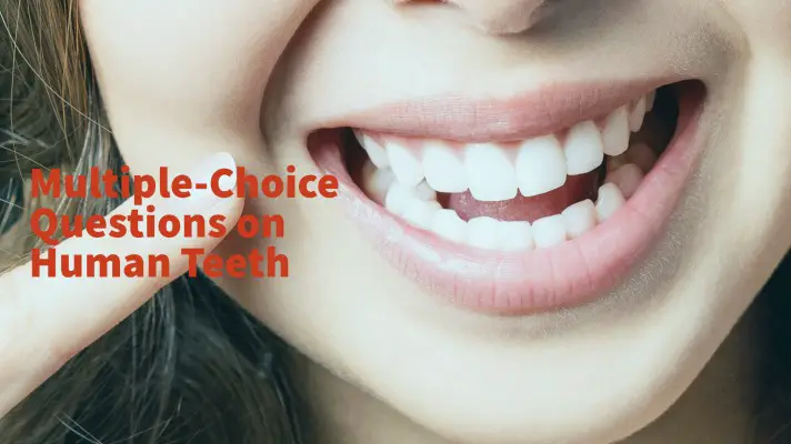 Feature Image of Multiple-Choice Questions on Human Teeth