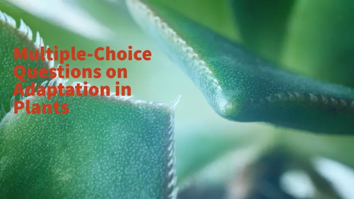 Feature Image of Multiple-choice Questions on Adaptation in Plants