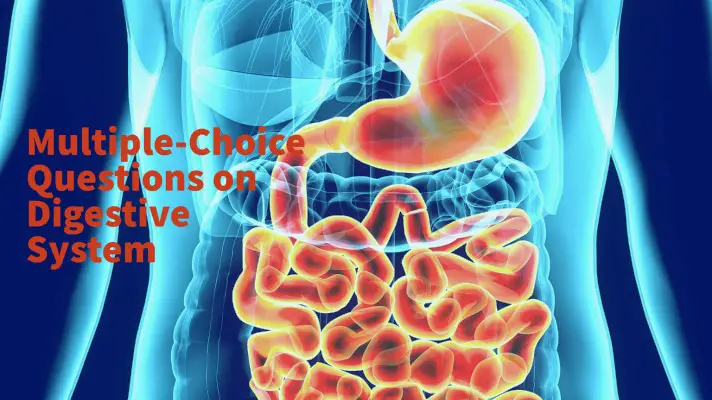 Feature Image of Multiple-Choice Questions on Human Digestive System
